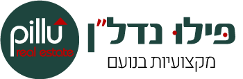 פילו נדל"ן ע"י נועם דרסה — מקצועיות בנועם